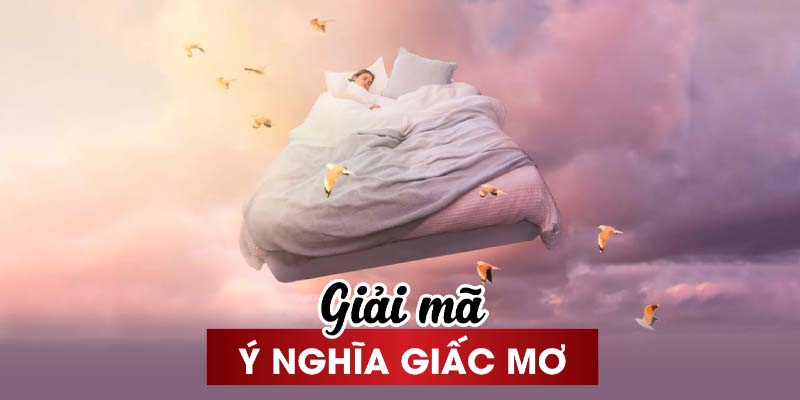 Giải mã giấc mơ chi tiết nhất